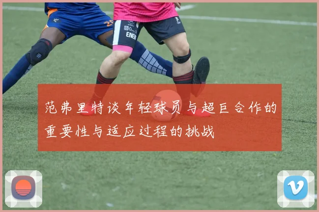 范弗里特谈年轻球员与超巨合作的重要性与适应过程的挑战
