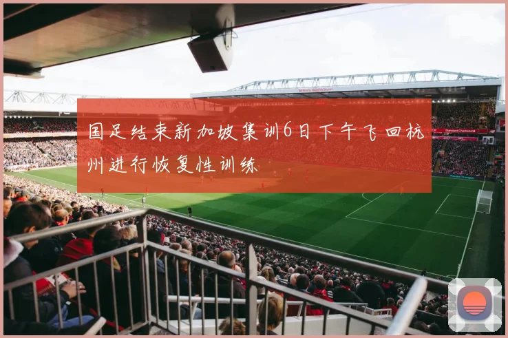 国足结束新加坡集训6日下午飞回杭州进行恢复性训练
